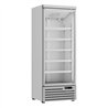 Vitrină frigorifică frigorifică, 1 ușă din sticlă, JDE-600R, Combi Steel