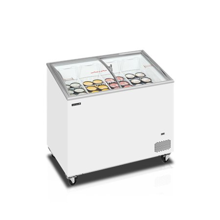 IC301SCEB