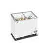 IC301SCEB