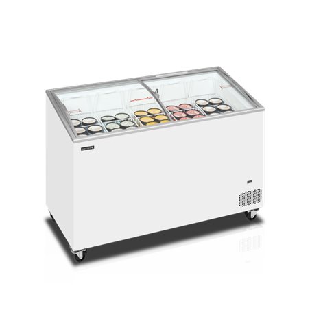 IC401SCEB