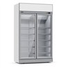 Vitrină frigorifică frigorifică cu 2 uși din sticlă, INS-1000R, Combi Steel