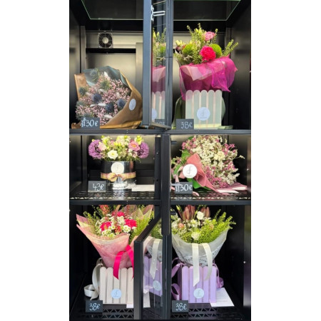 Vendomat frigorific automat pentru flori, 10-15 compartimente, DOORY FRESH 10-15, DF Italia