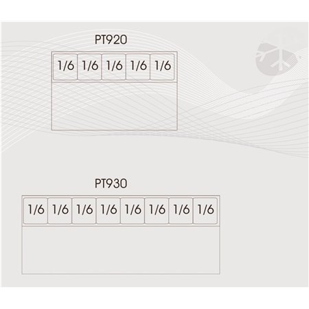 PT920