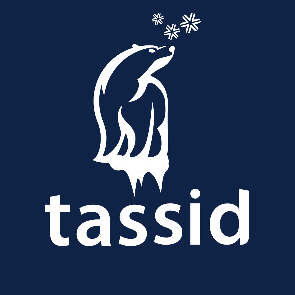 TASSID HOLDING SRL